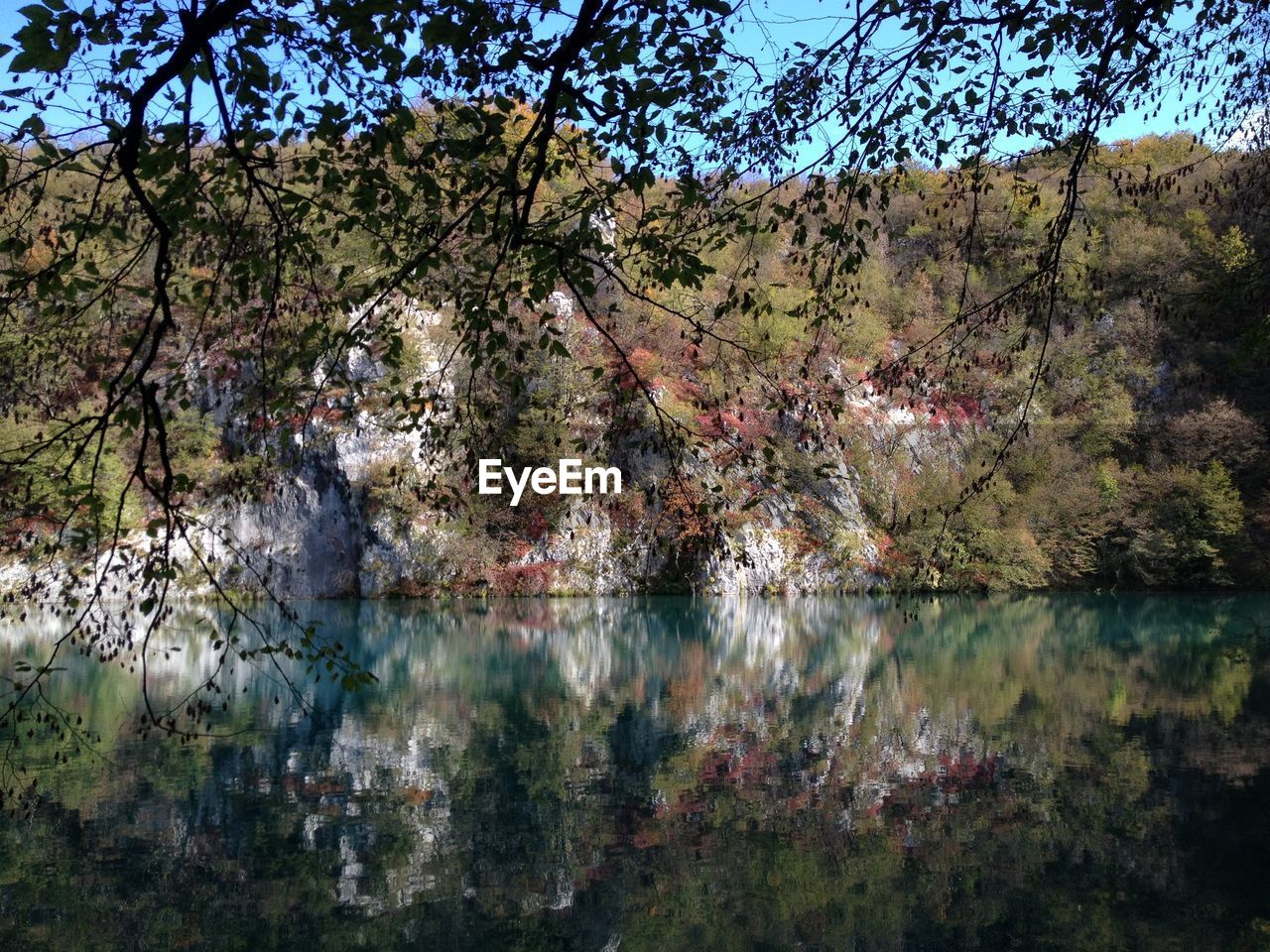 SCENIC VIEW OF LAKE AGAINST TREES