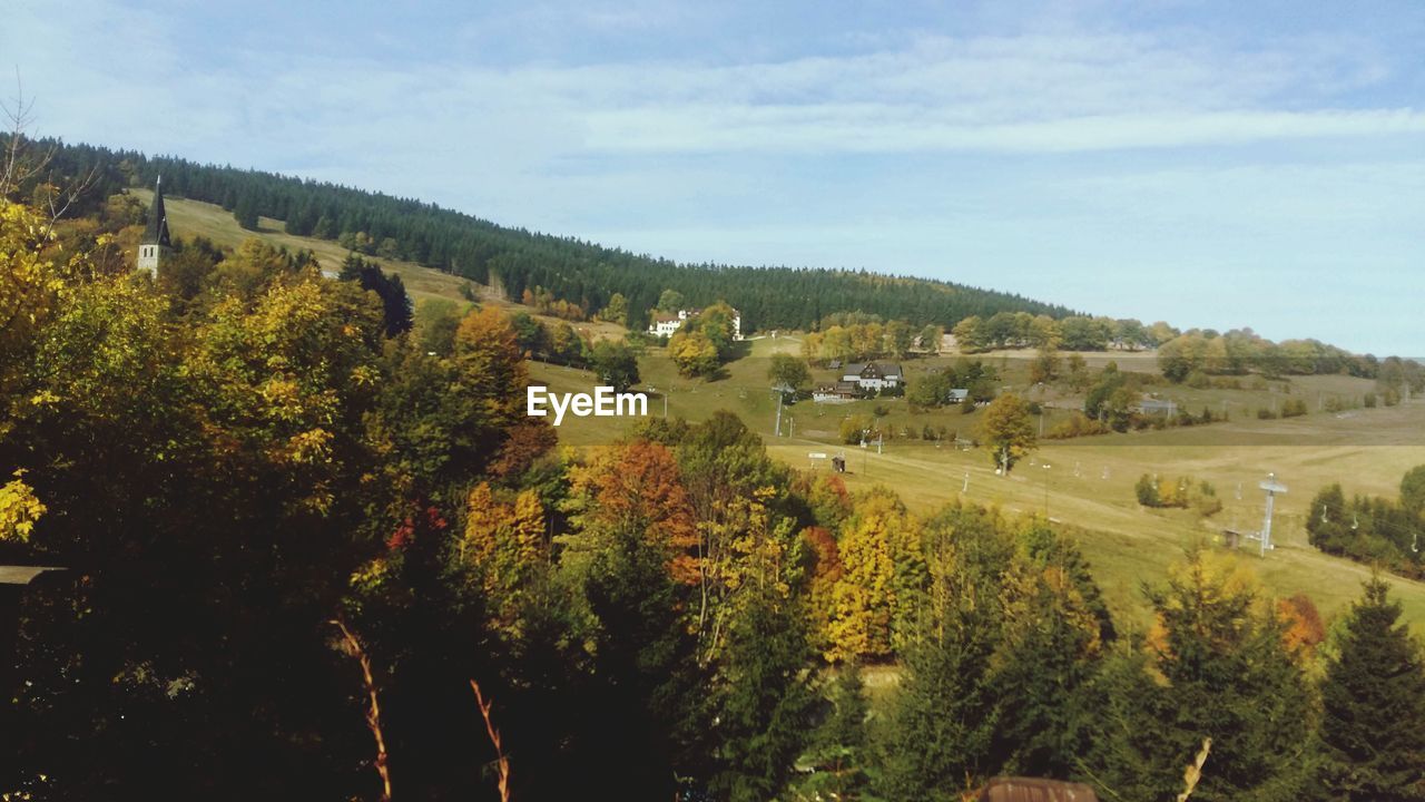 Panoramic shot of trees on field against sky