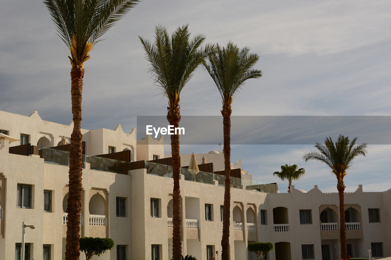 palm tree, tropical climate, architecture, building exterior, built structure, building, tree, date palm tree, nature, plant, sky, residential district, travel destinations, city, date palm, house, wealth, estate, travel, neighbourhood, luxury, vacation, home ownership, tourism, outdoors, residential area, no people, land, hotel, mansion, town, cloud, holiday