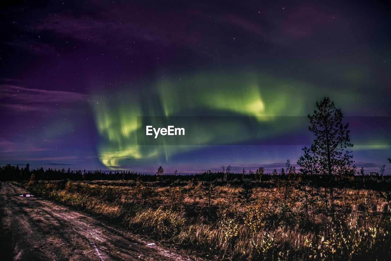 Panoramic shot of land and trees against sky at night