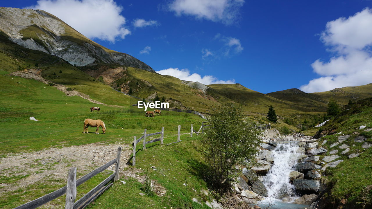 Scenic view of green landscape against sky