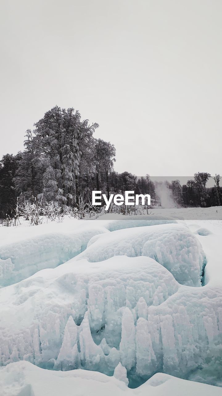 VIEW OF FROZEN TREES AGAINST CLEAR SKY