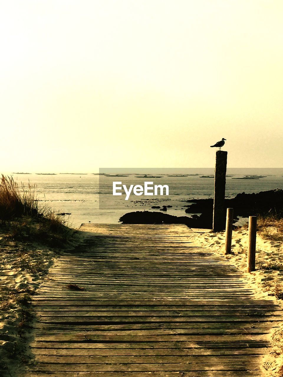 Silhouette bird perching on wooden pole by boardwalk at beach during sunset