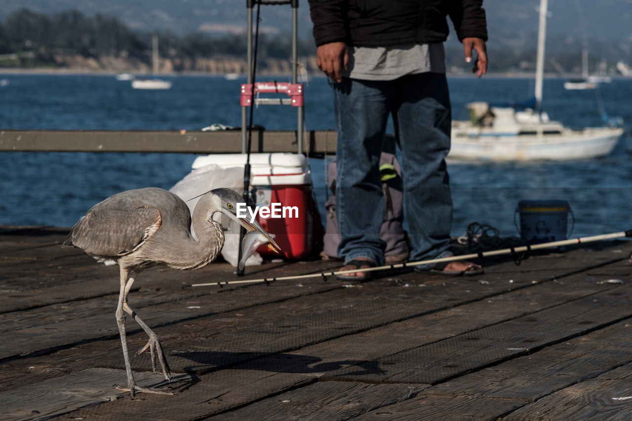 LOW SECTION OF MAN STANDING BY PIER AT HARBOR