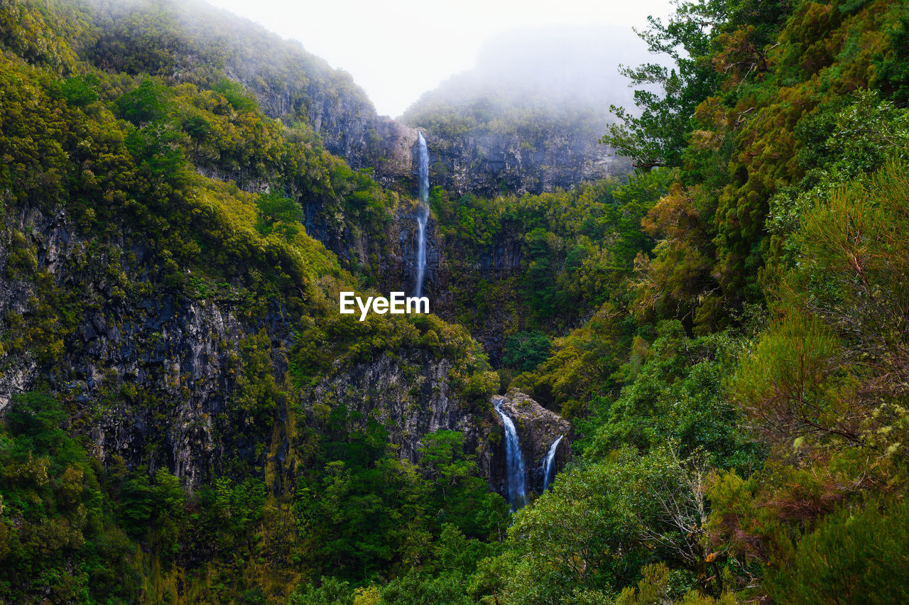 high angle view of trees on mountain