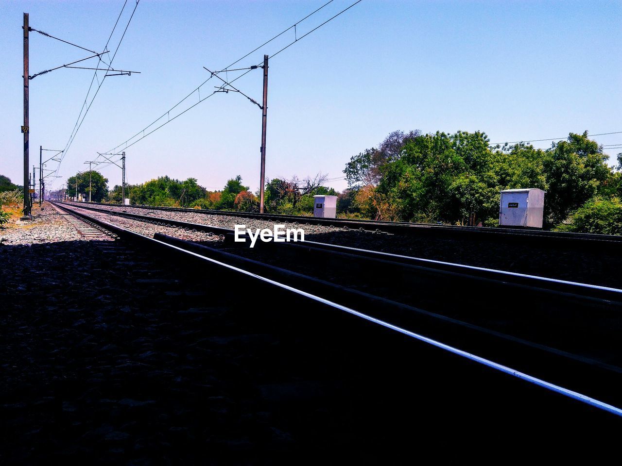 RAILROAD TRACKS BY TREES AGAINST CLEAR SKY