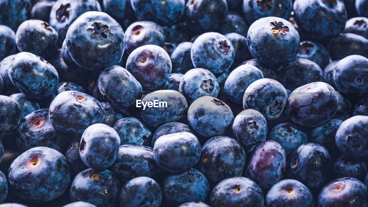 FULL FRAME SHOT OF BLUEBERRIES IN CONTAINER