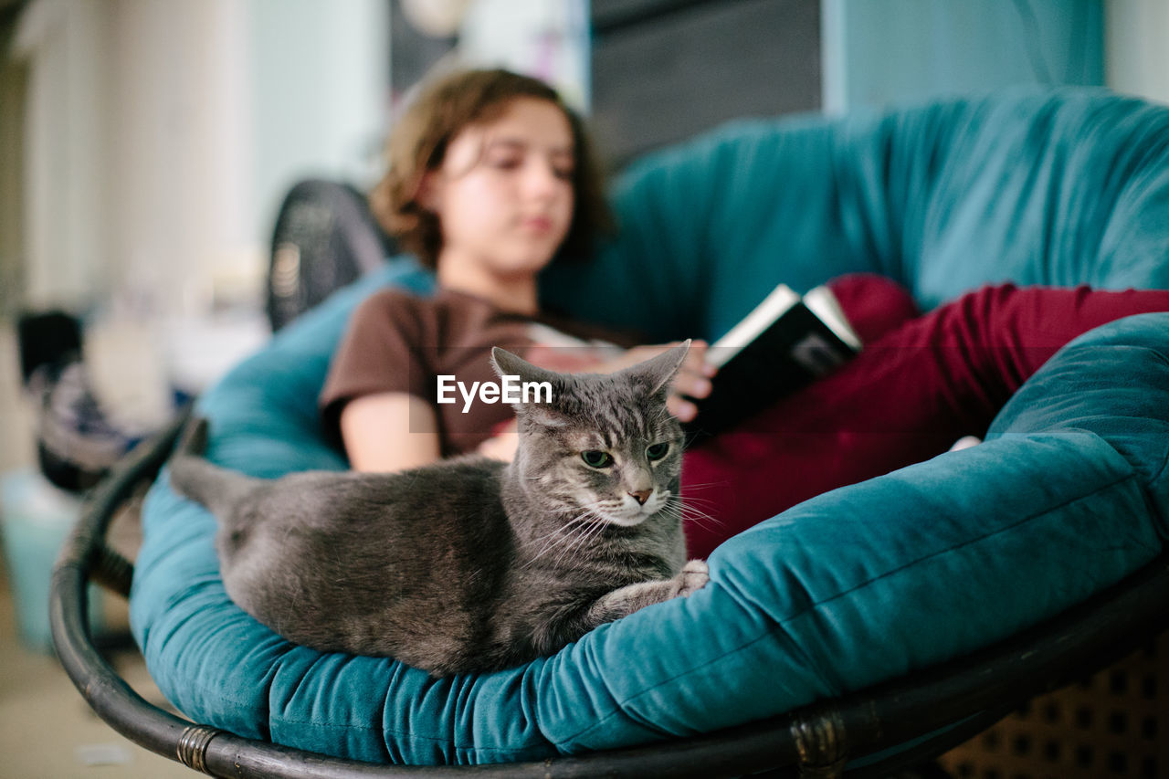 Gray cat sits on a papasan chair with a teenage girl reading a book