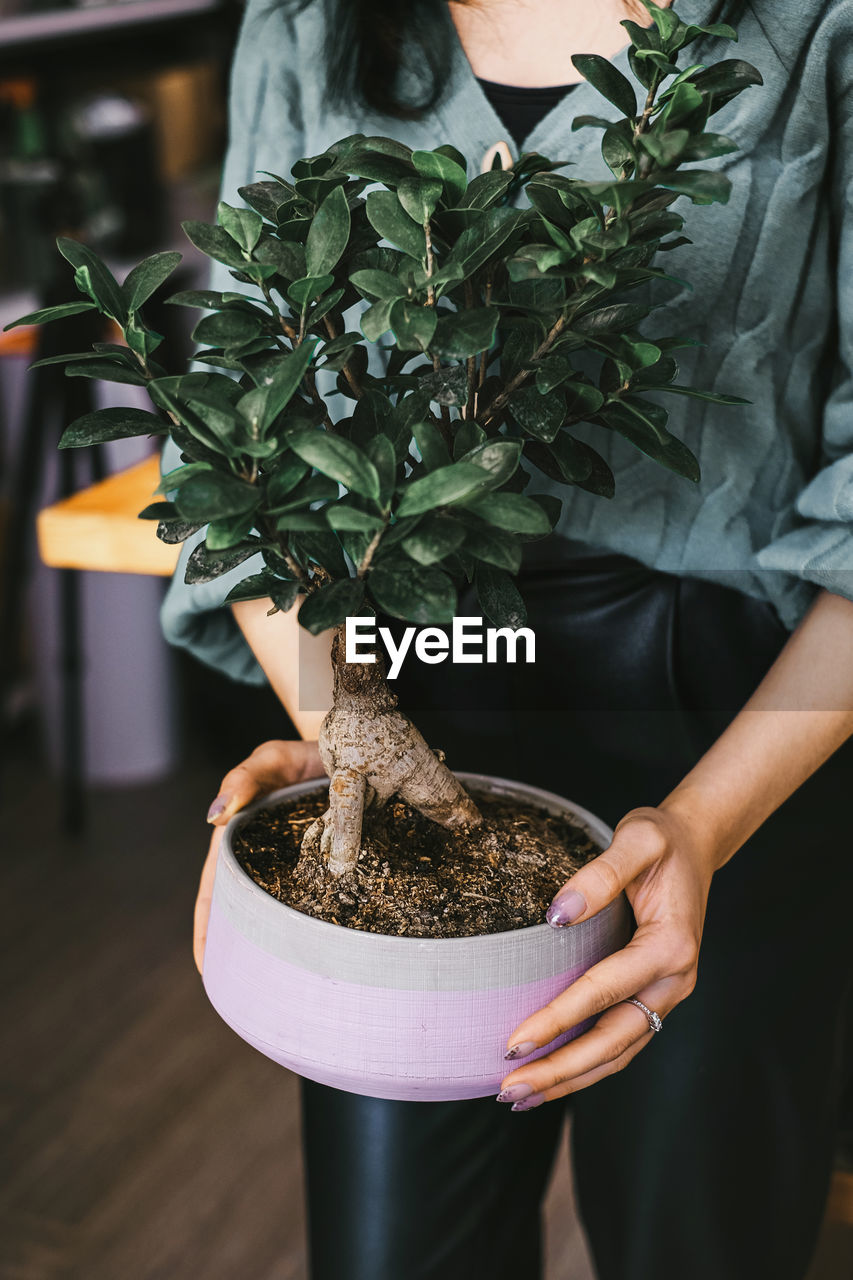 midsection of man holding potted plant