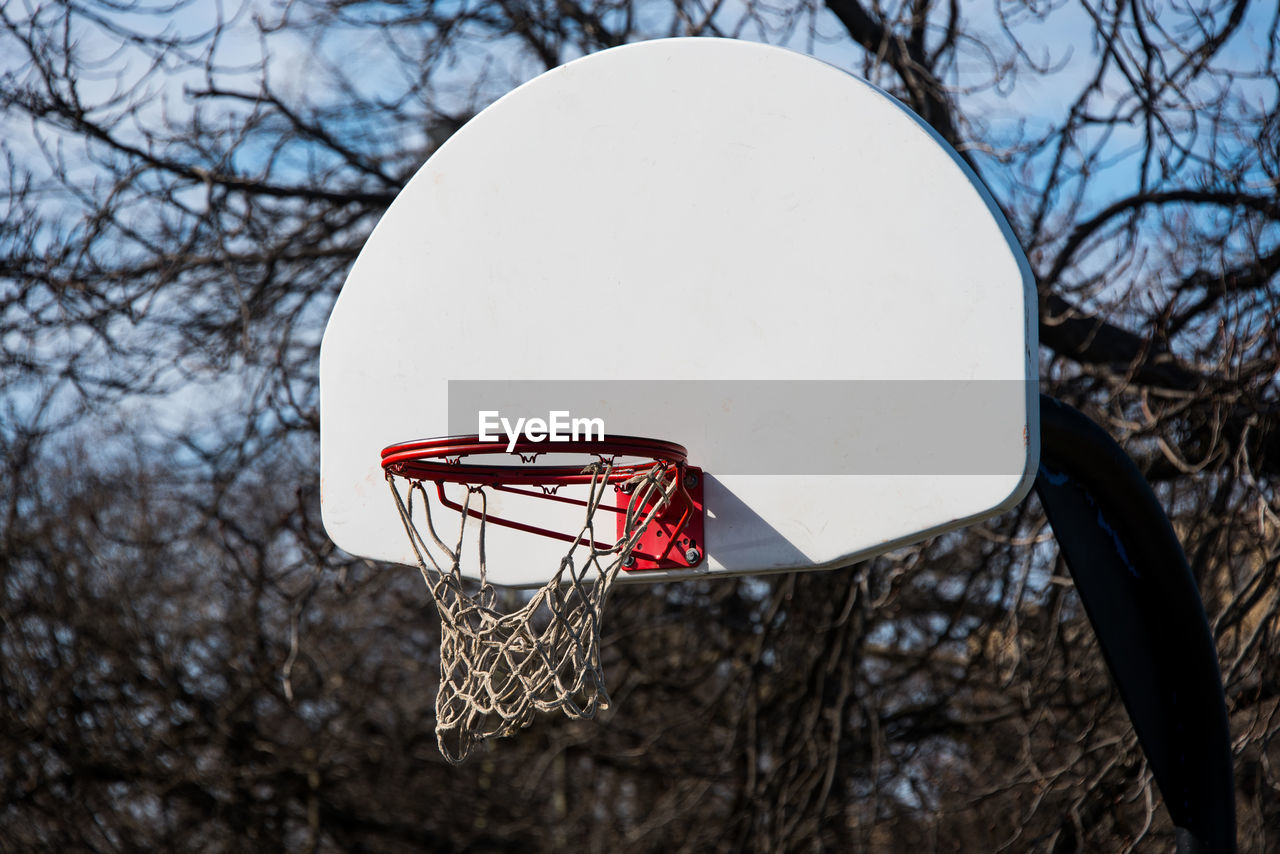 LOW ANGLE VIEW OF BASKETBALL HOOP AGAINST TREES