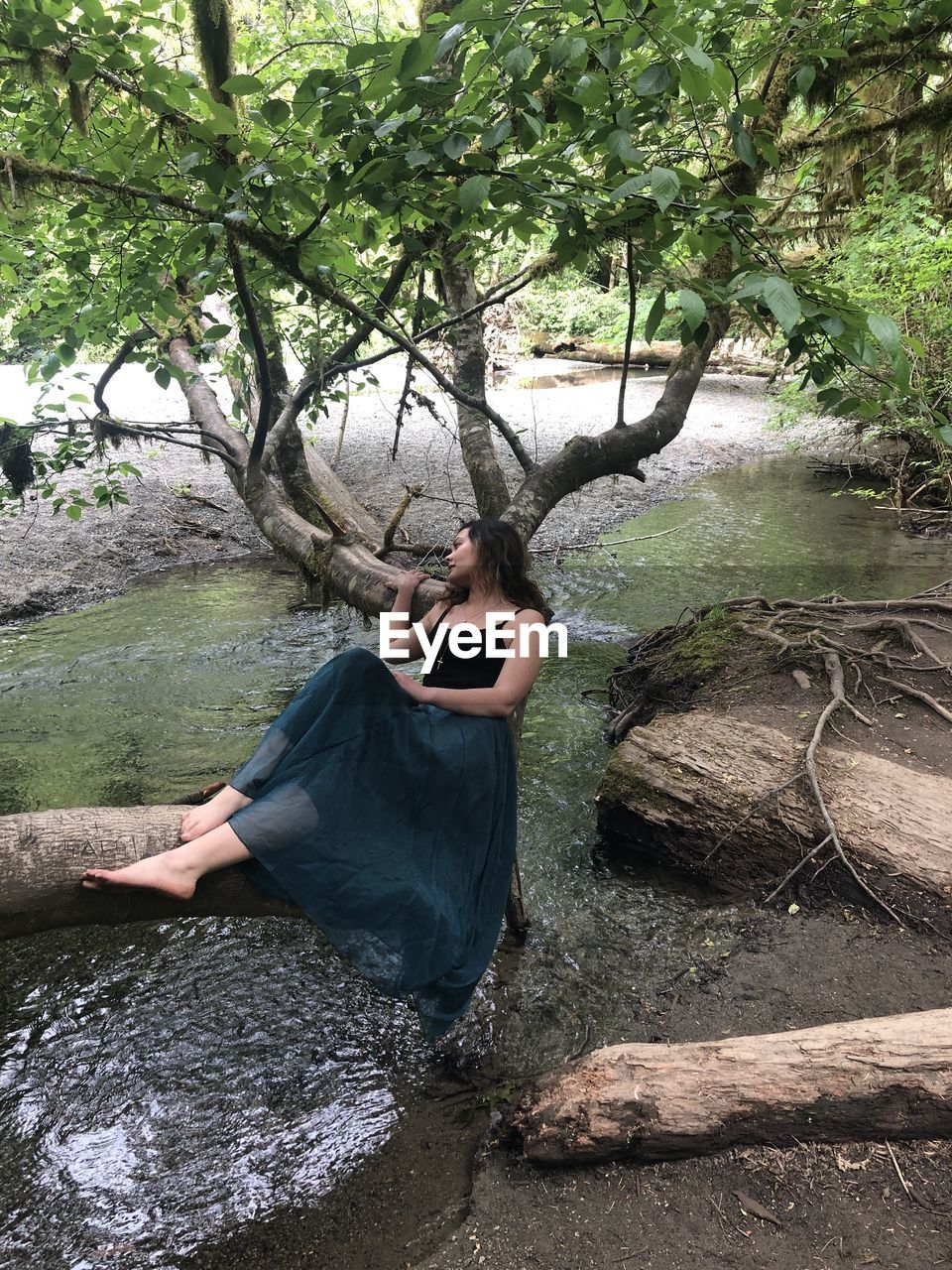 Woman sitting on tree in forest