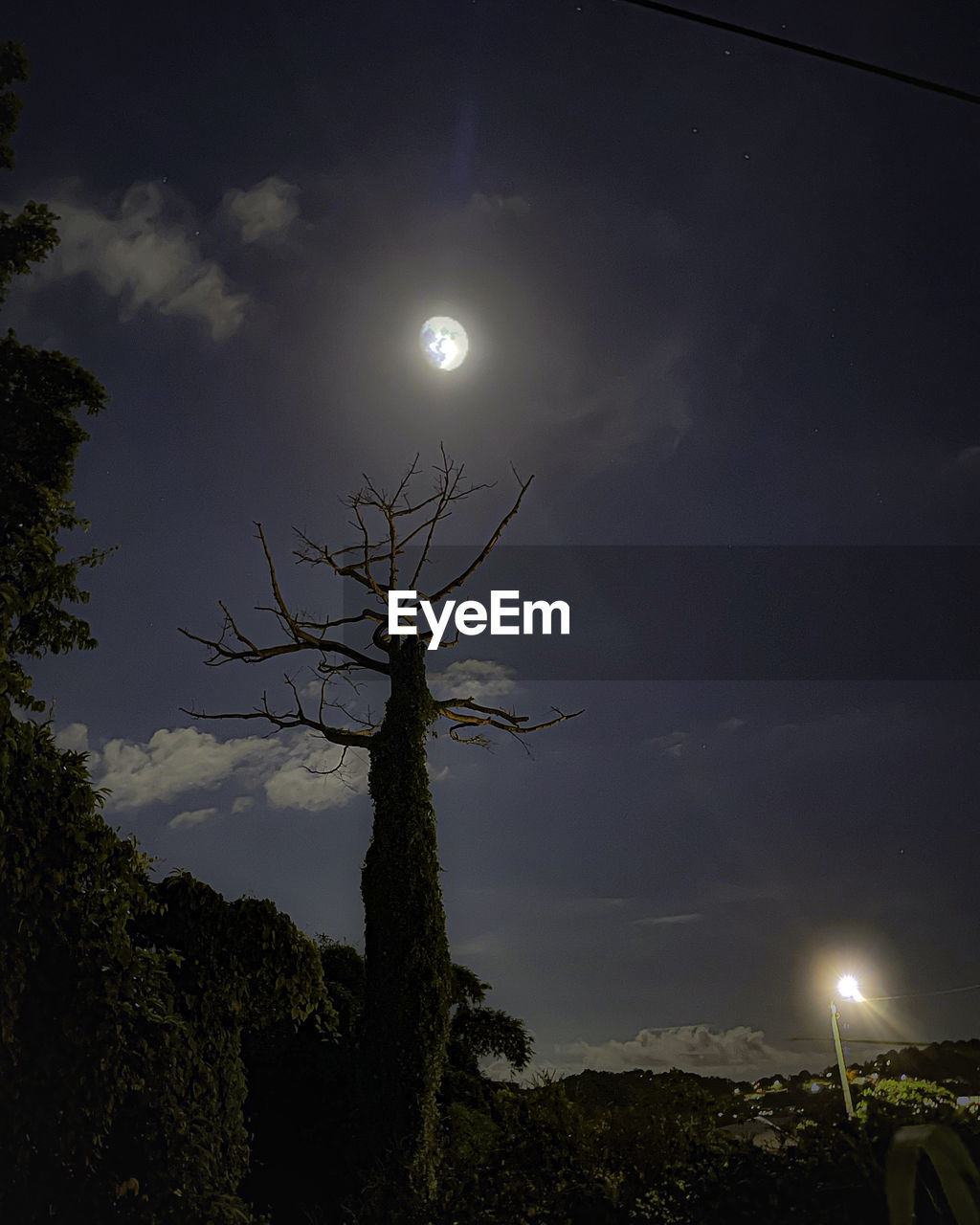 moon, sky, tree, night, moonlight, darkness, full moon, plant, nature, light, cloud, astronomical object, beauty in nature, no people, scenics - nature, illuminated, tranquility, outdoors, evening, silhouette, star, low angle view, tranquil scene, astronomy, land, dark, environment, dusk, tree trunk