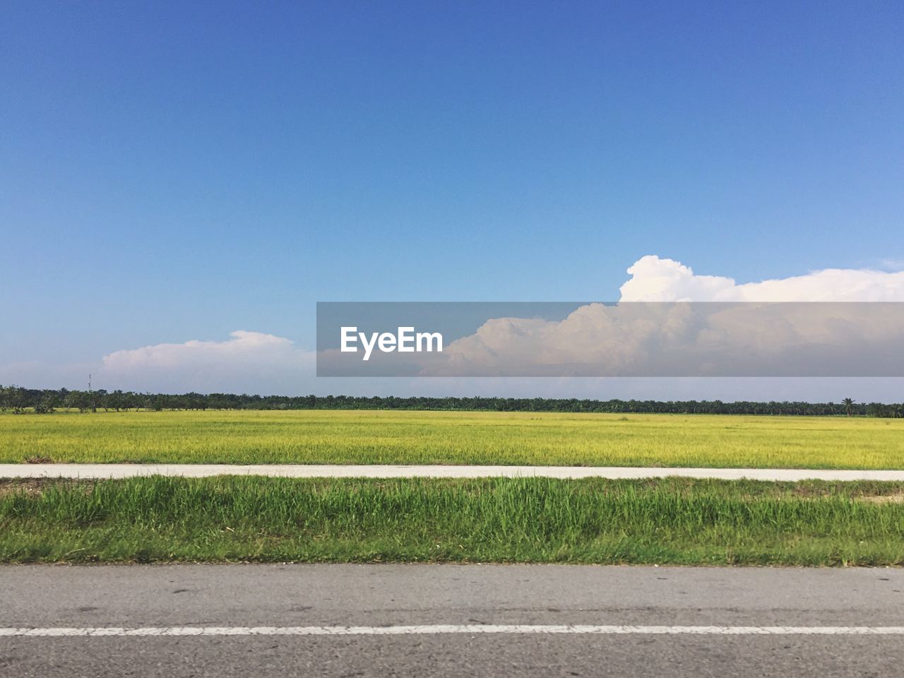 Scenic view of field against blue sky