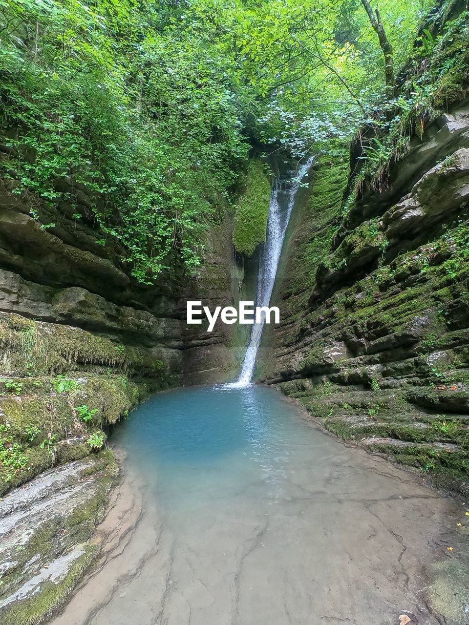 SCENIC VIEW OF WATERFALL AMIDST TREES