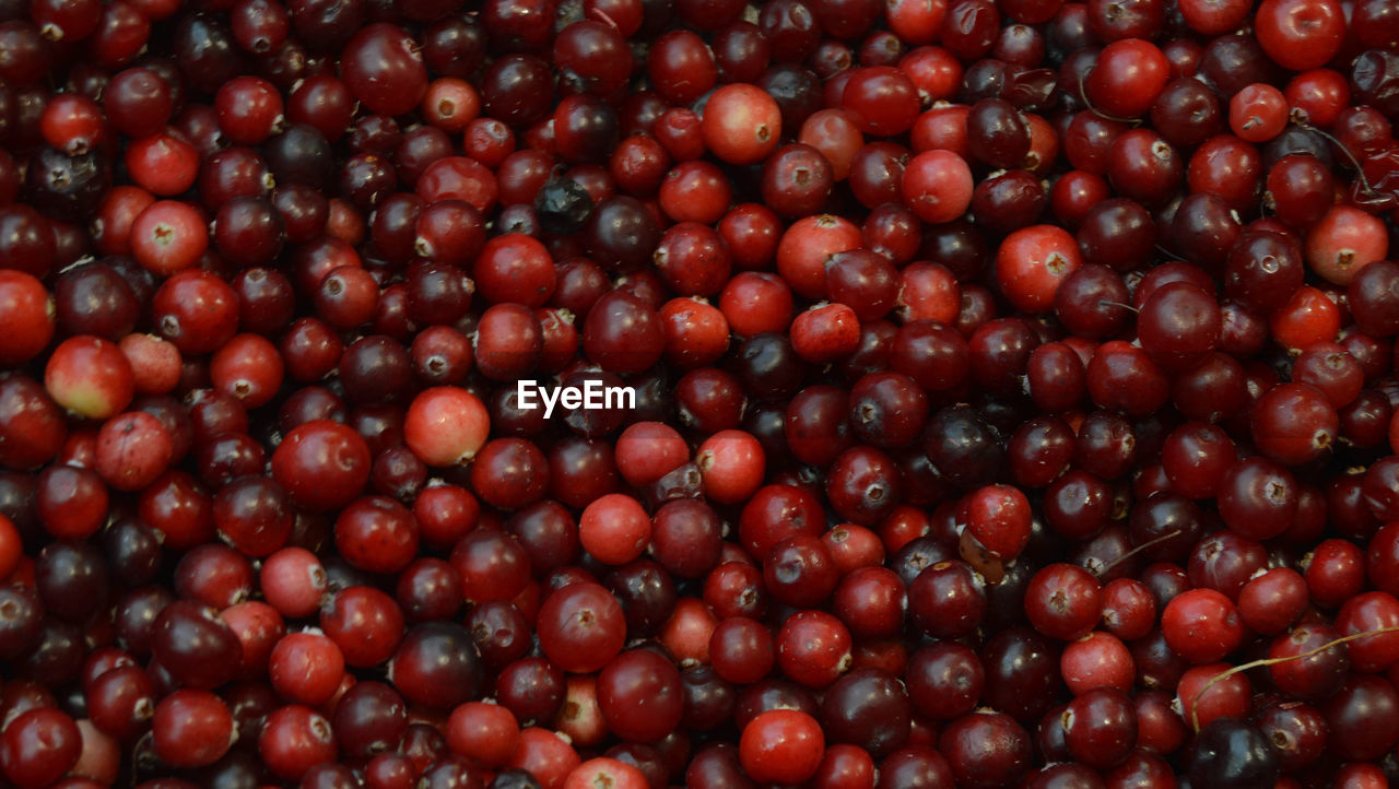 FULL FRAME SHOT OF FRESH STRAWBERRIES