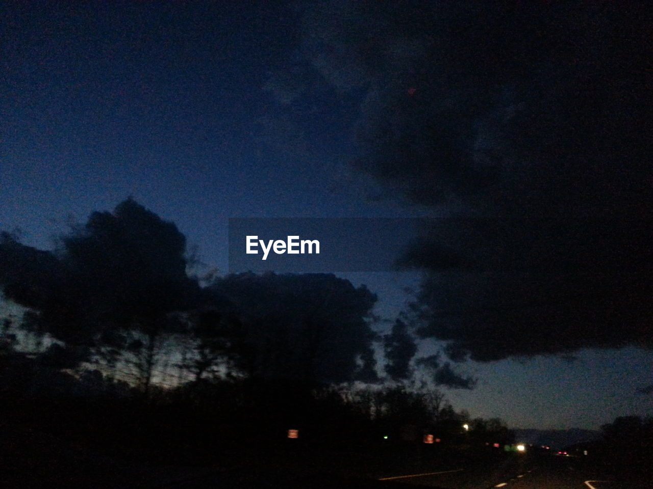 SILHOUETTE TREES AT NIGHT