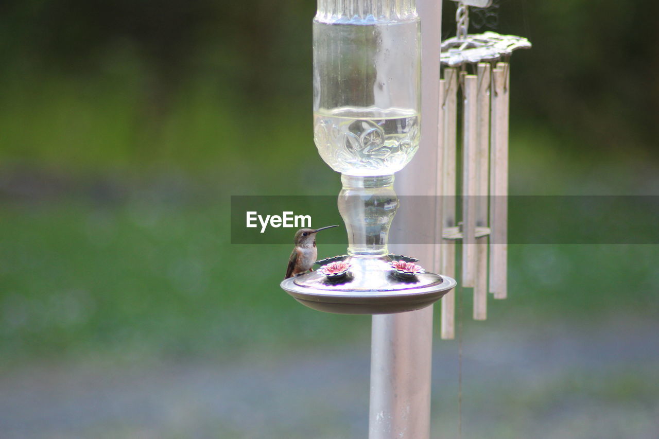 CLOSE-UP OF DRINK IN GLASS CONTAINER ON WATER