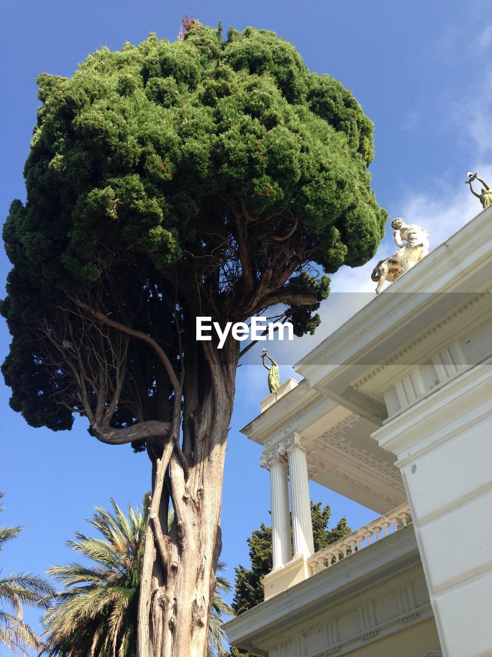 Low angle view of achilleion palace and trees against sky