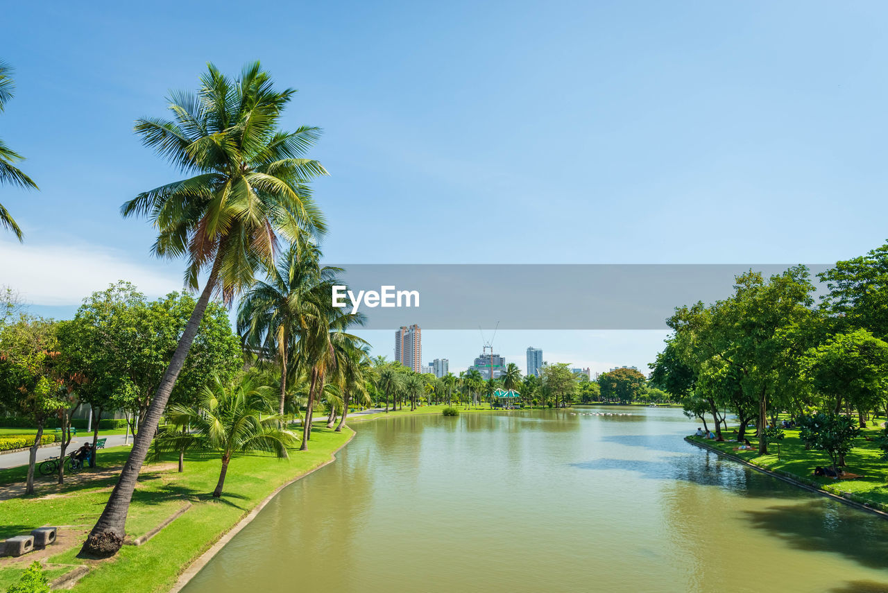 Scenic view of palm trees and building against sky