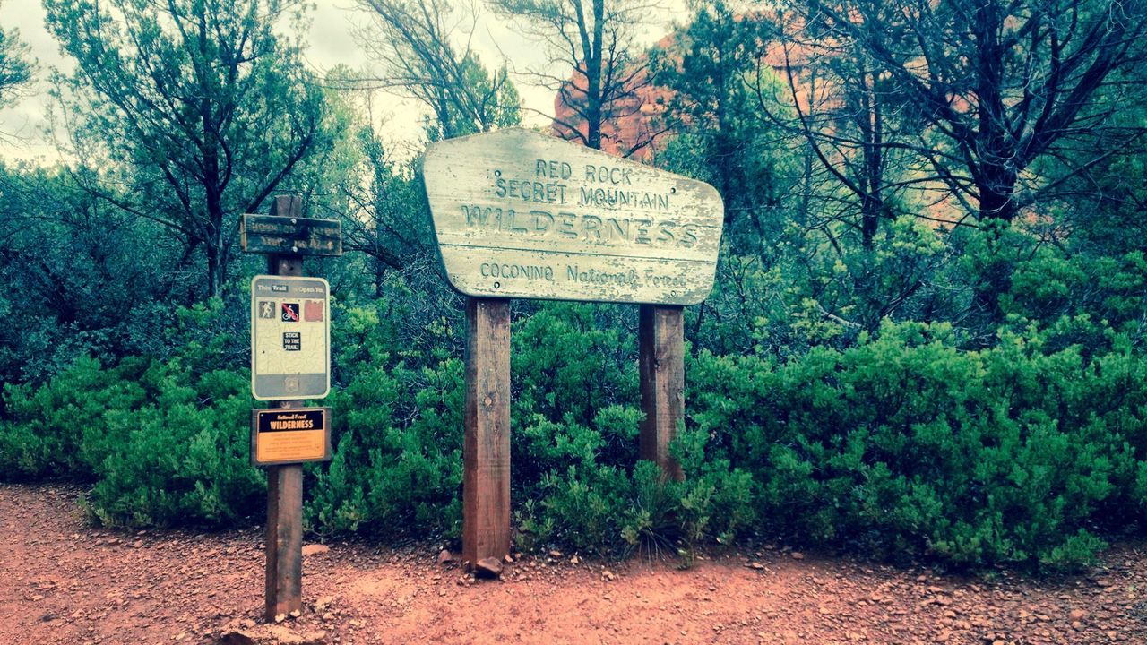 INFORMATION SIGN ON TREE