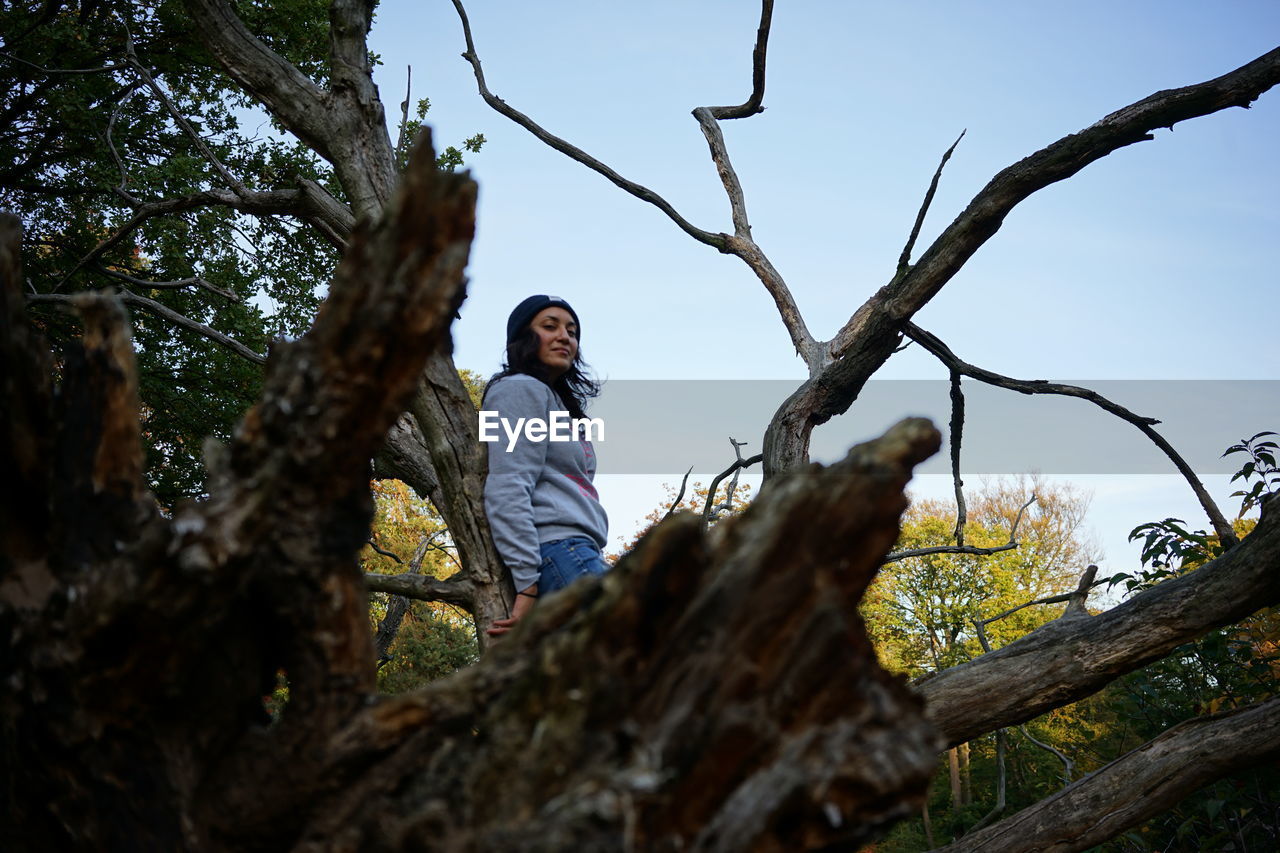 Low angle view of woman standing on tree branch in forest