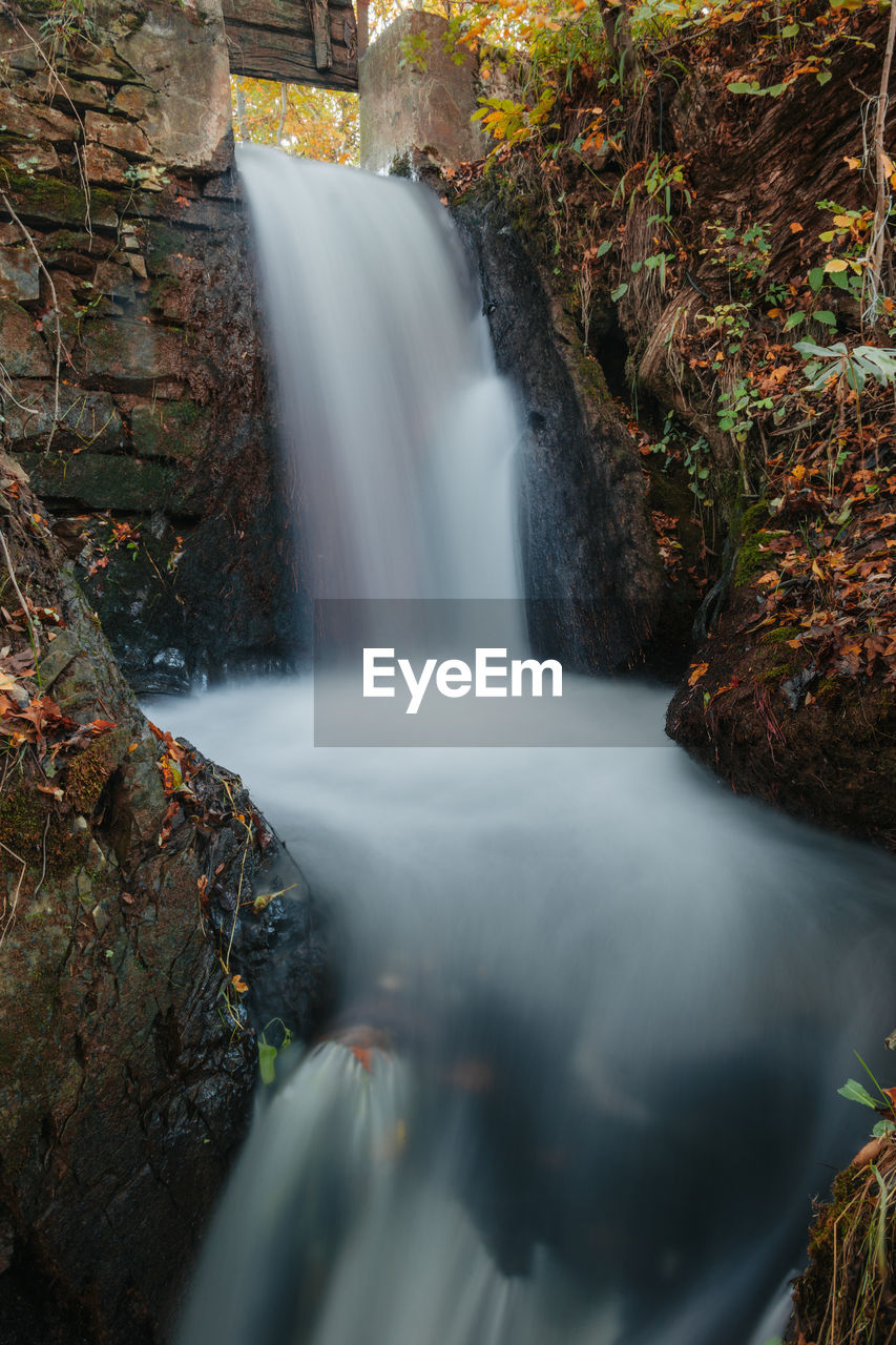 Scenic view of waterfall in forest