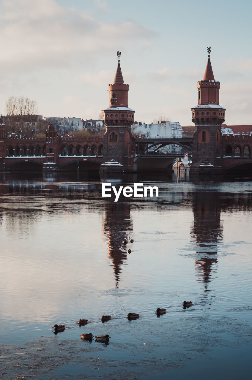 View of birds in city against cloudy sky