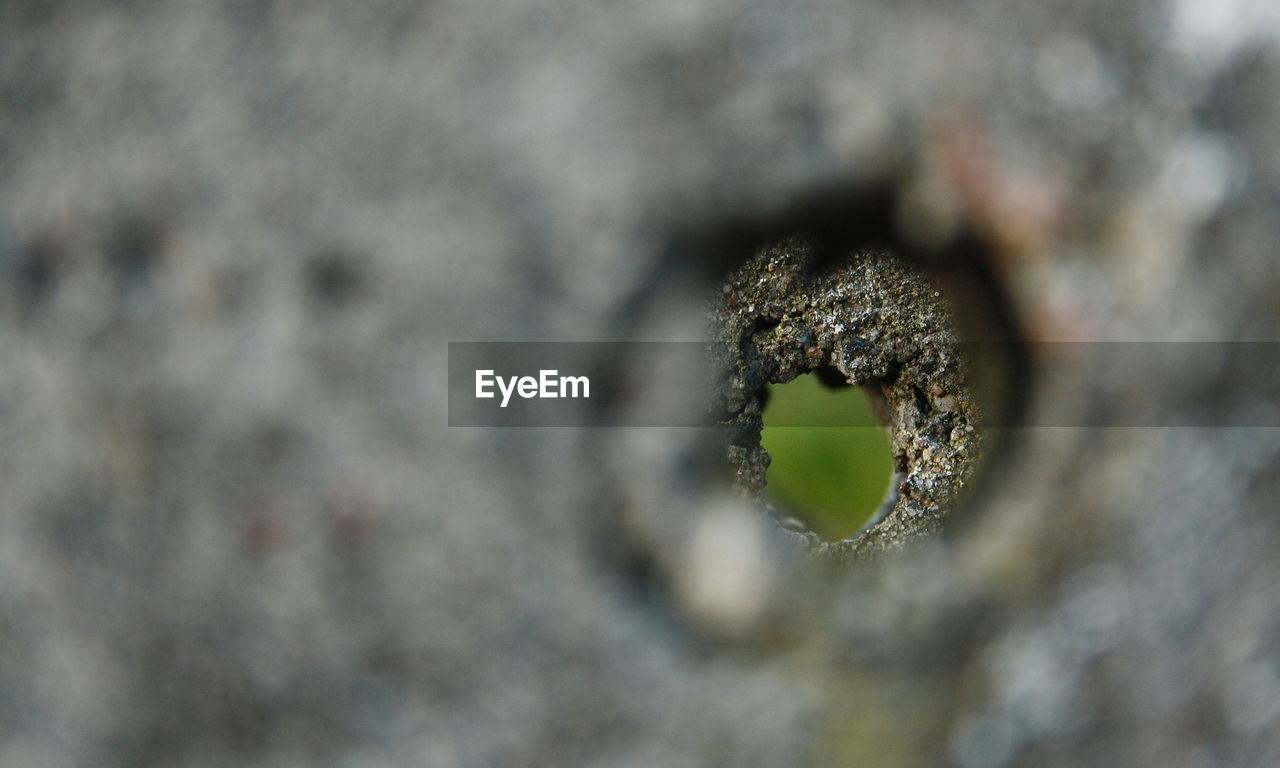 CLOSE UP OF CATERPILLAR