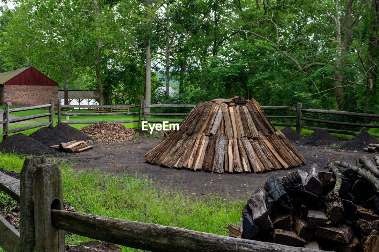 WOODEN LOGS IN PARK