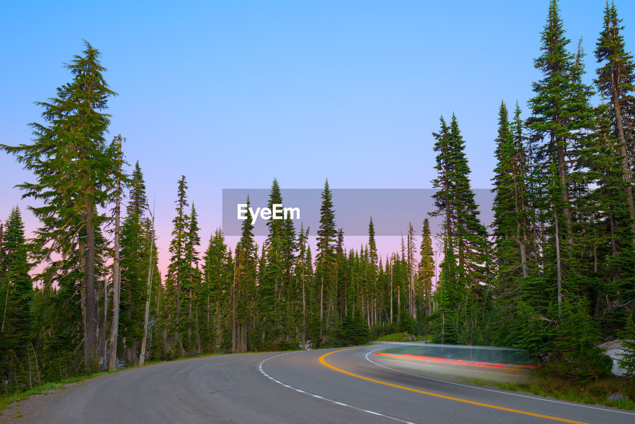 Road at mount rainier national park, washington state, united states