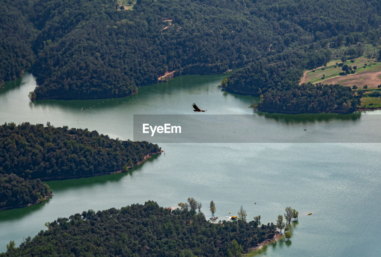 High angle view of bird flying over sea