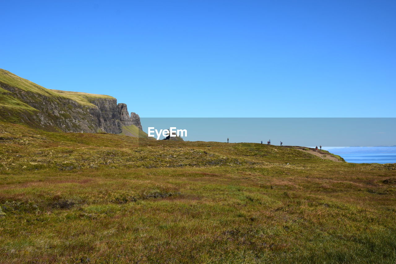 SCENIC VIEW OF GRASSY FIELD AGAINST CLEAR BLUE SKY