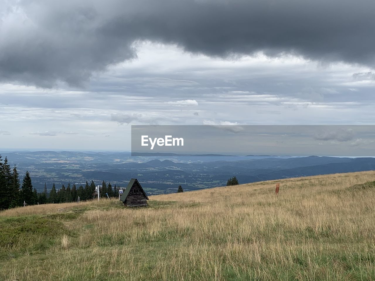 SCENIC VIEW OF GRASSY FIELD AGAINST SKY