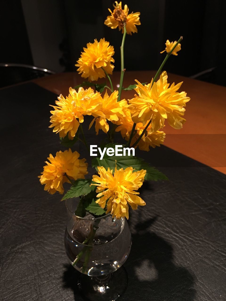 CLOSE-UP OF FLOWERS IN VASE