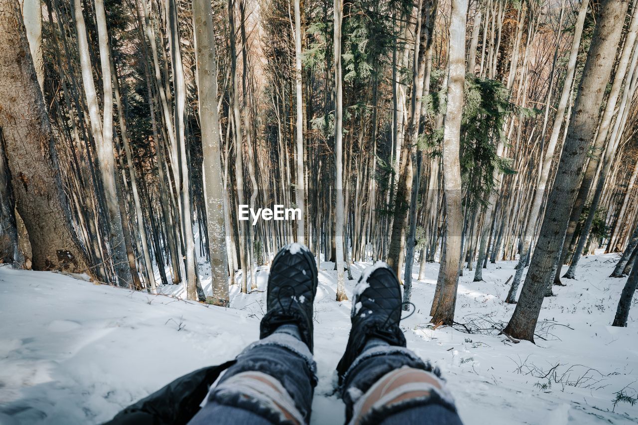 Low section of person on snow covered forest