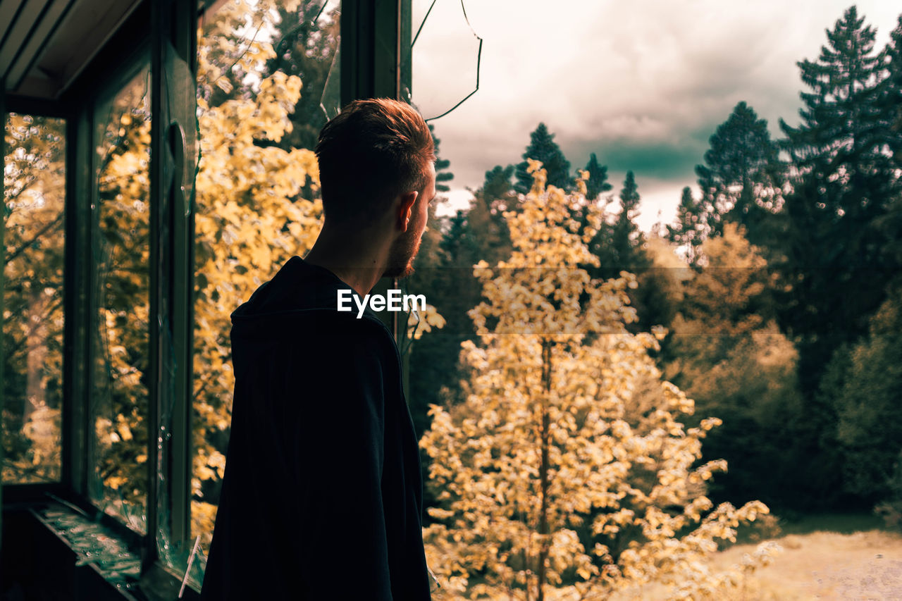 Rear view of a young man in autumn tree