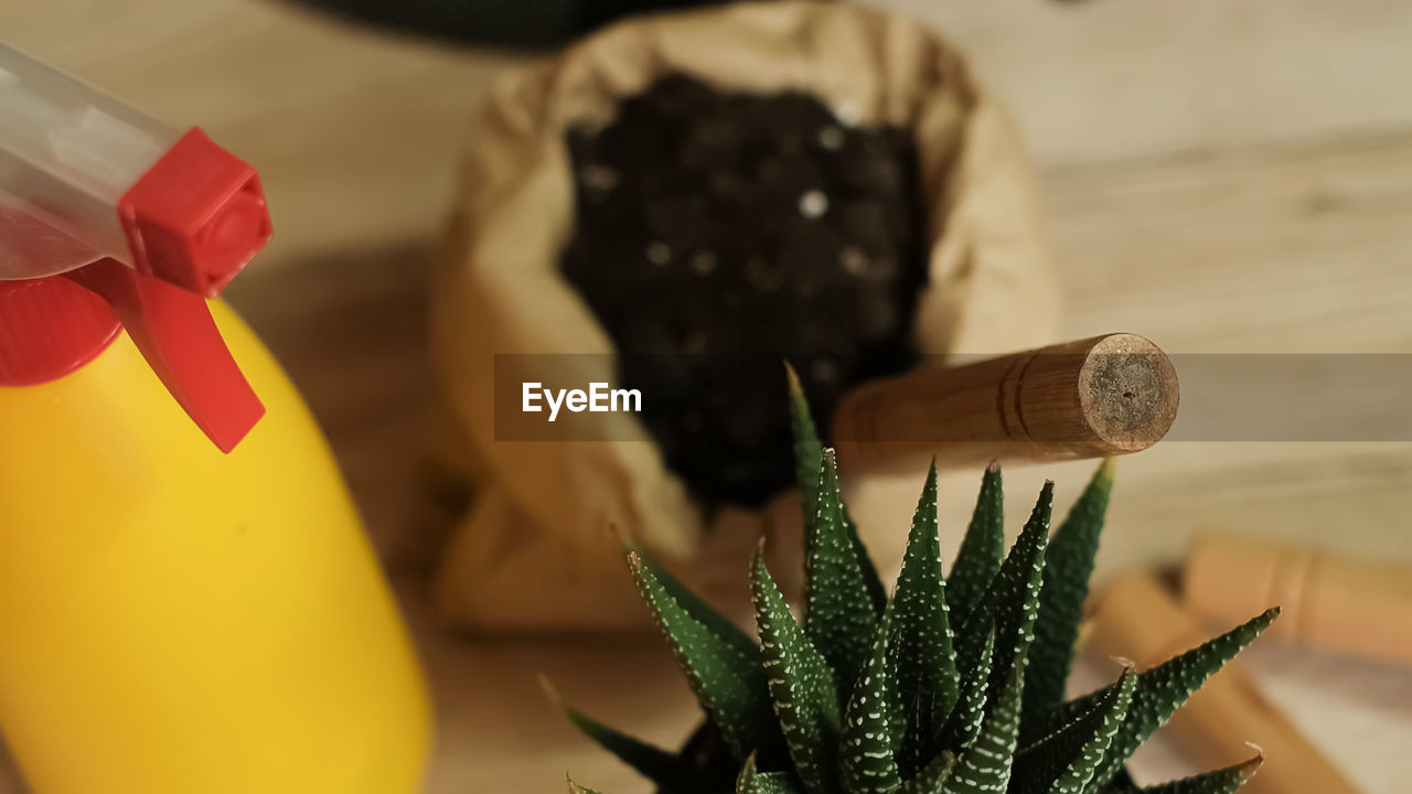 Transfer of plants to another pot, close-up of a gardener holding garden tools in his hand