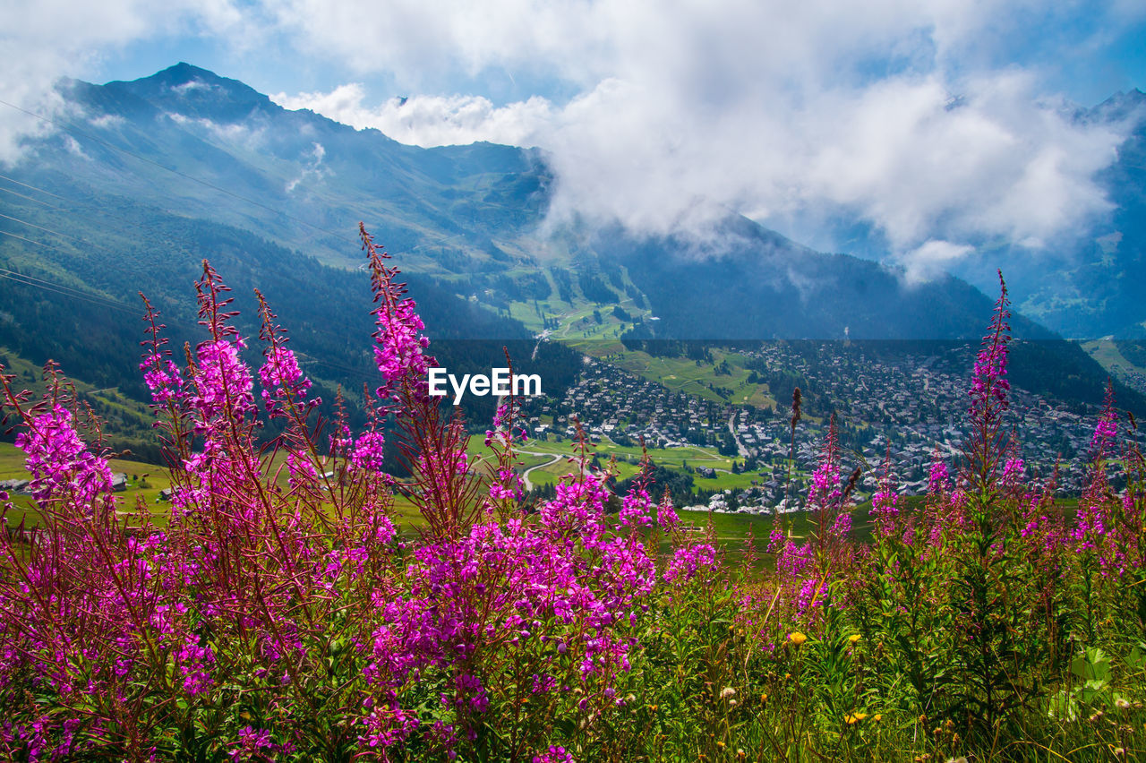 Verbiers in valais in swiss