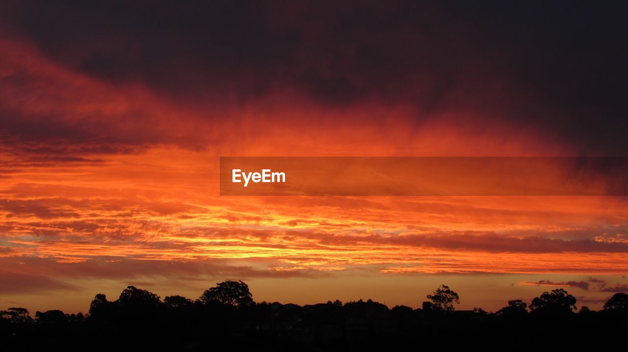 SILHOUETTE TREES AGAINST DRAMATIC SKY DURING SUNSET