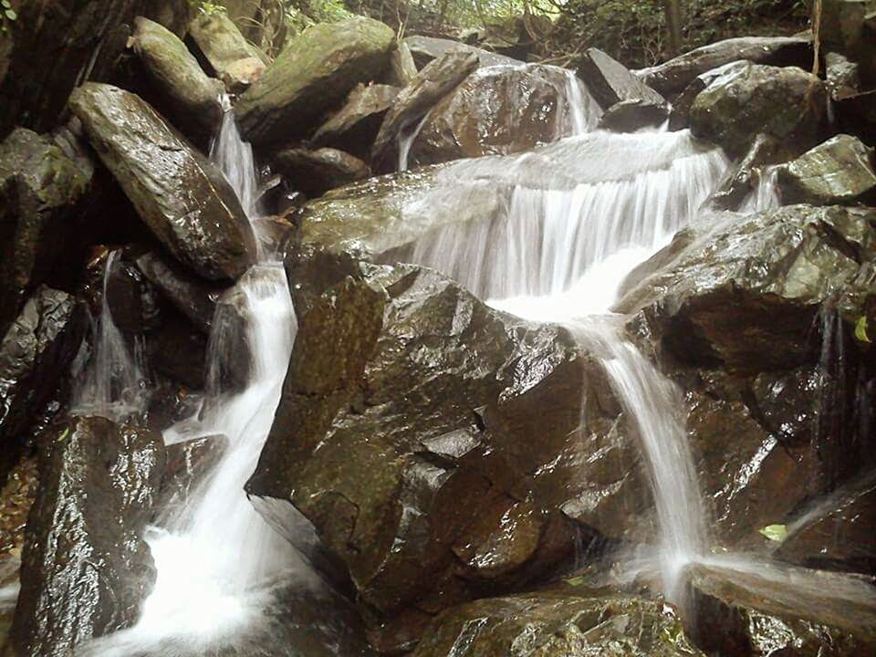 WATERFALL IN FOREST