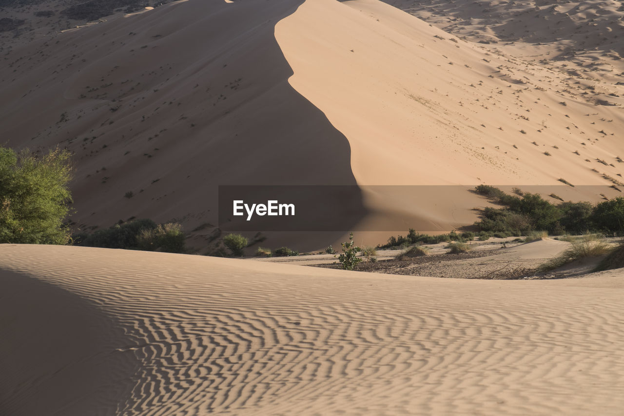 Shapes, patern and lines at great sand dune in vallee blanche at sahara desert in mauritania