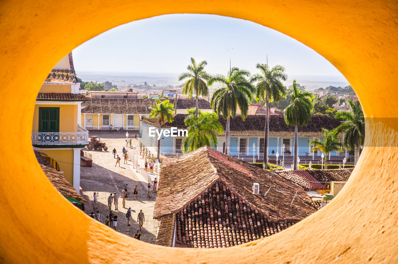 PALM TREES AND BUILDINGS SEEN THROUGH ARCH WINDOW