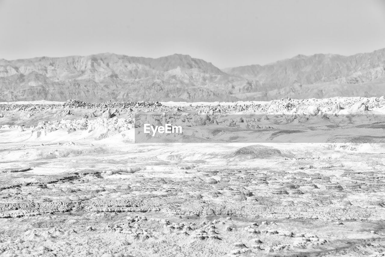 SCENIC VIEW OF BEACH