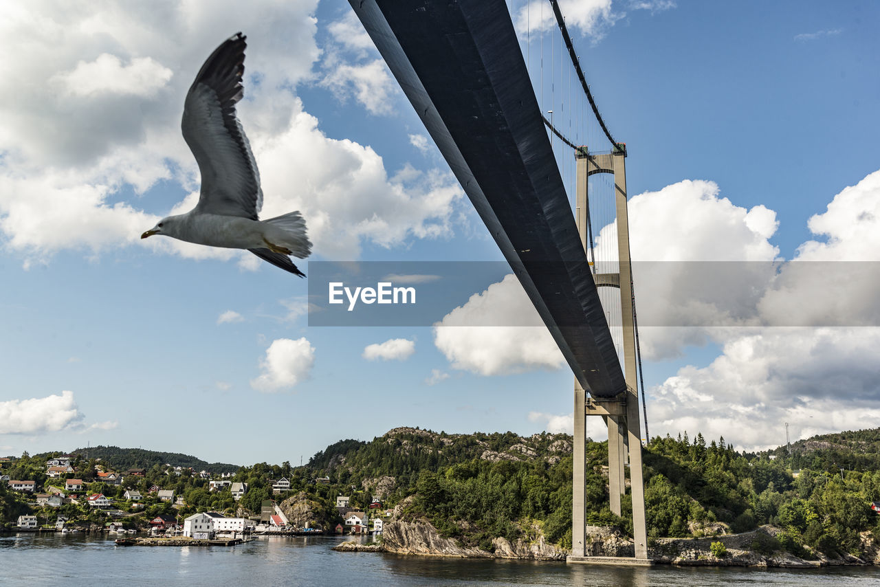 Low angle view of bird flying under bridge over river against sky