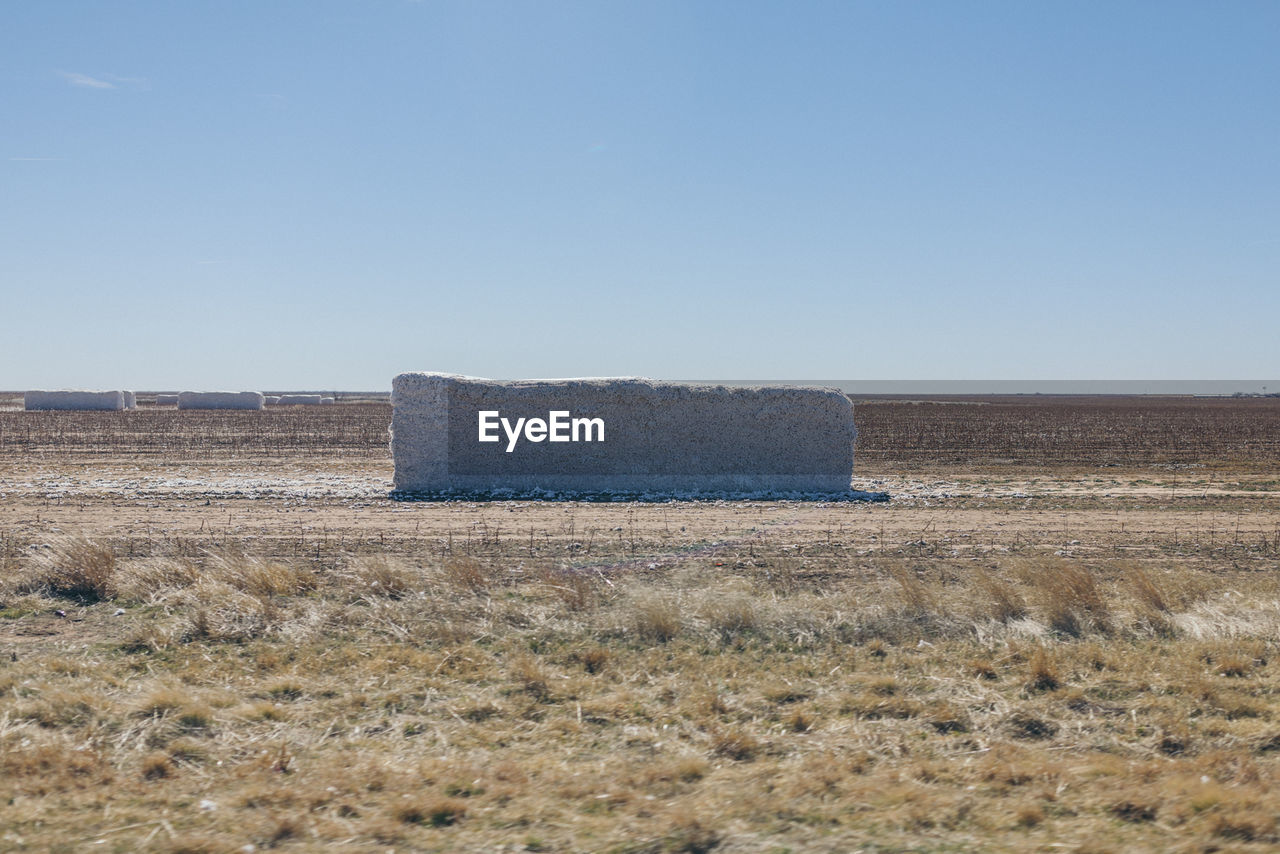 Scenic view of field against clear sky