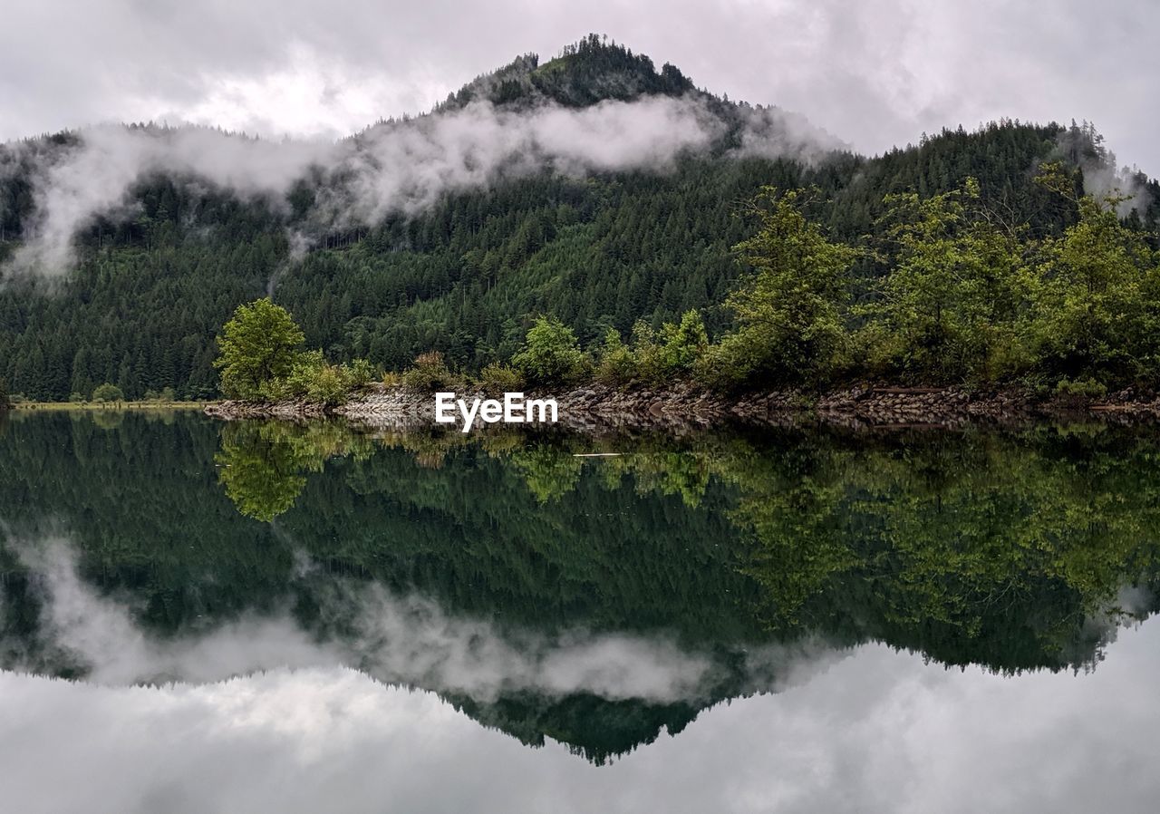 Scenic view of lake by trees against sky