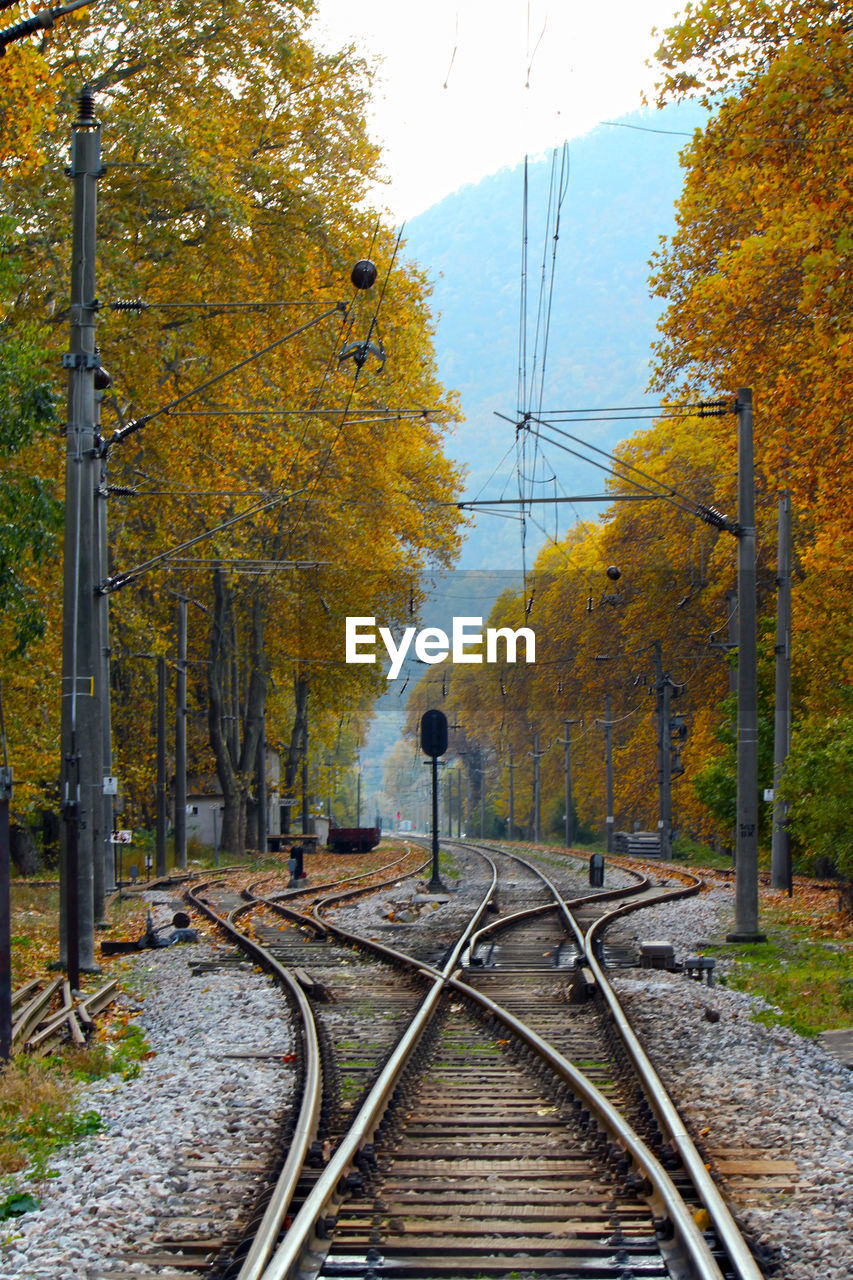 RAILROAD TRACK AMIDST TREES DURING AUTUMN