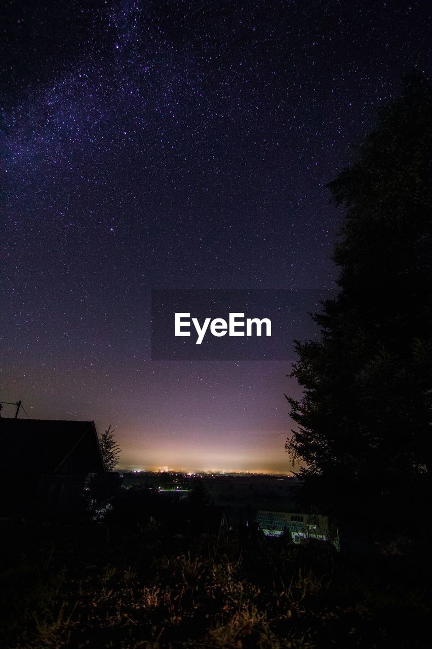 Silhouette trees against star field at night