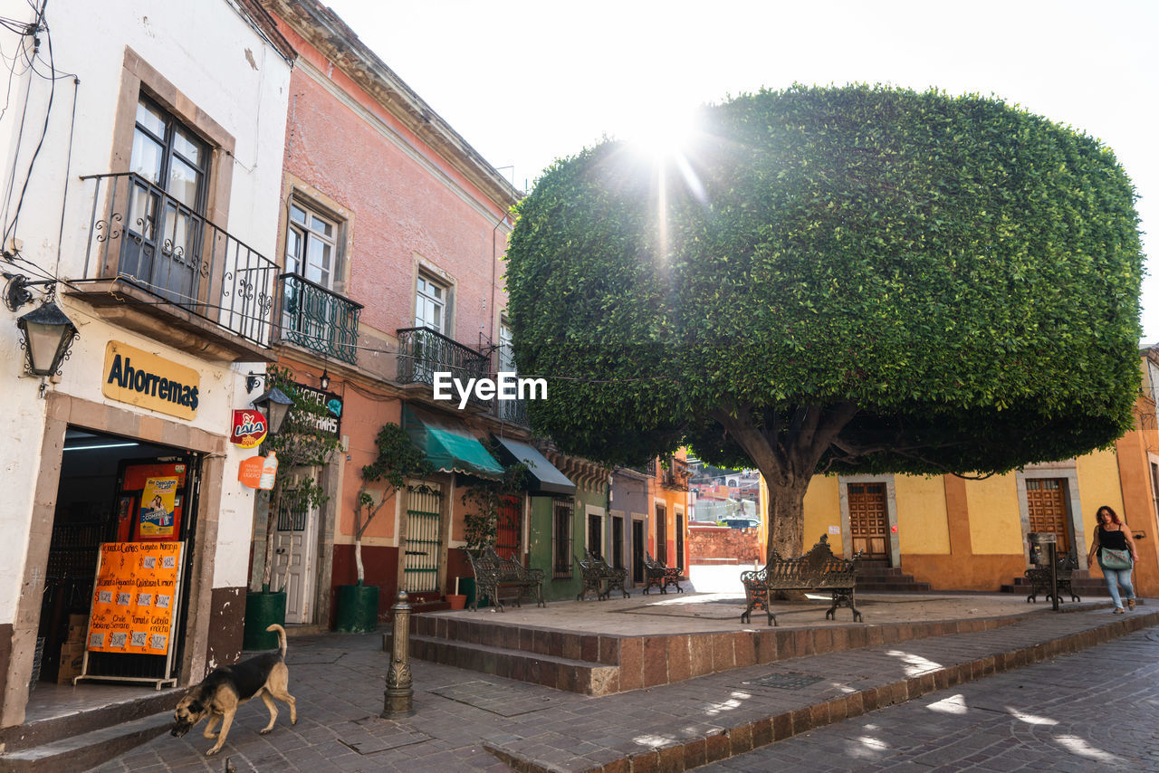 VIEW OF A STREET AMIDST BUILDINGS