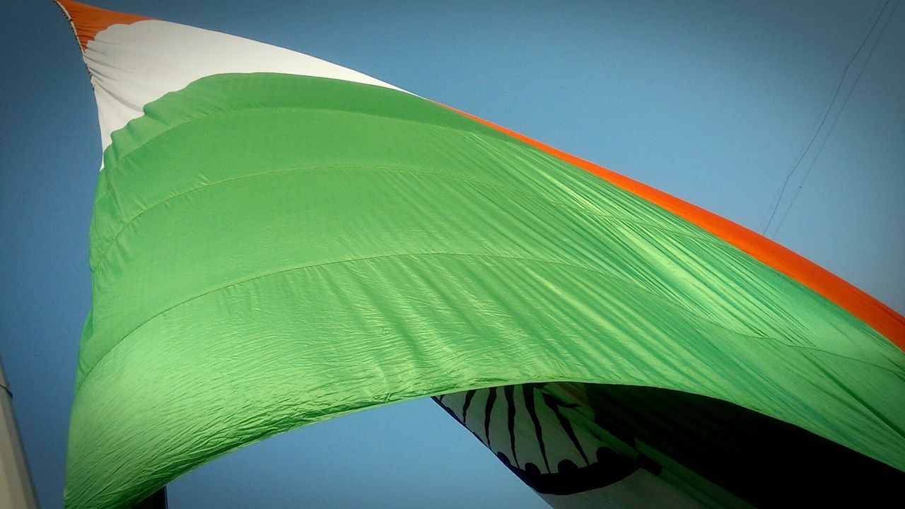 CLOSE-UP OF LEAF AGAINST CLEAR SKY